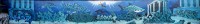 /album/best-of2/requin-jpg/